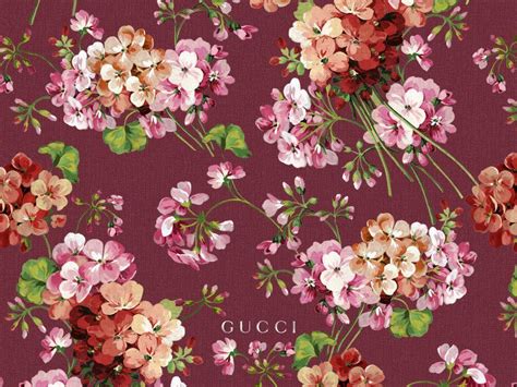 gucci flower background|gucci flower perfume.